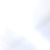 user4968665918201