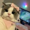 kyal__16