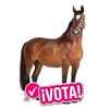 user9889443204