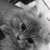 byme_24.0