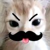 niaaja3_