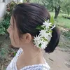 sue.hay.ko