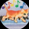 badcat398