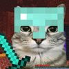 baryonix_9