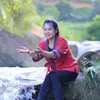 Rừng xanh