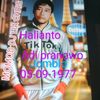 halianto6