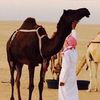 khalid_14101