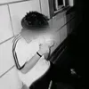 user_haraaaaa