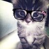 .zely_n