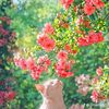 amaal.abdi88