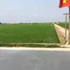 mhongkhang741