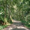 bangbara
