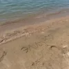 wysxx1_