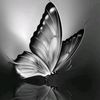 🖤🕊️DüNyA BoŞdUr🖤🕊️