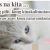 ms.aine02