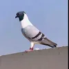 Mmm