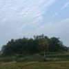 wzj16582s2i