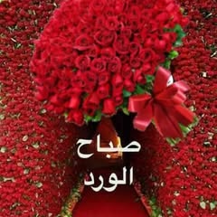 user2467713057418