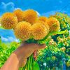mdbajid027