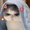 myatthoon.khin1