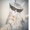 nickerpicker4
