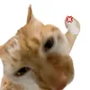 tok0000000000