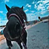 dorien.0228x