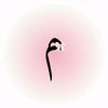 murotaliyeva_13