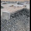 safa_24556