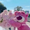 hayati.babeahmed