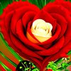 md.millat721