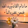 asdf23ssw