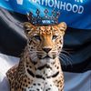 The people voice 🇪🇪🐆🇬🇾