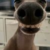 naomidormeus4