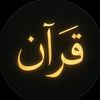 qlight18