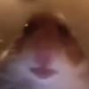 goofygoober8373
