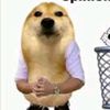 ..mystteampups