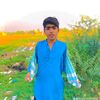 shah