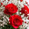user2324196746273