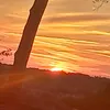 _louisa_f2