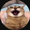 Kittyrantsroblox