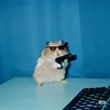 bunny.bang6