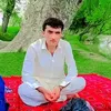 gull.muhammad.adi