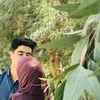 frmisk.frmisk8