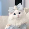 kim_brazilliya_sbake3