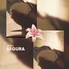 ava.luana.horseedits