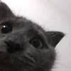 not_poq
