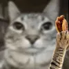 l3o_o7