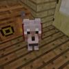 tico_emil