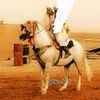 user19237904215566